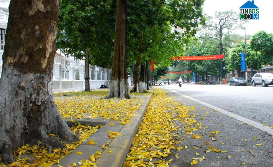 Cứu hộ ắc quy đường Trần Phú, quận Ba Đình, Hà Nội
