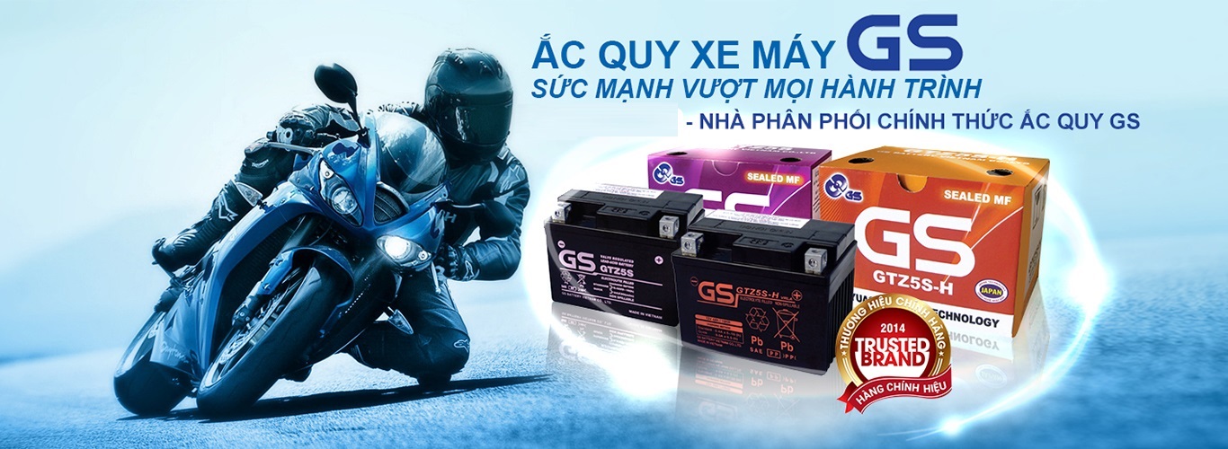 Ắc quy GS việt nam